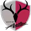 鹿岛鹿角